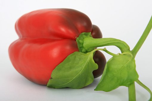 productimg0582