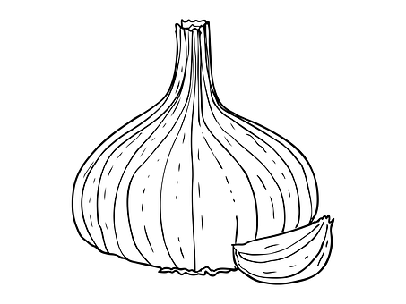 productimg0933